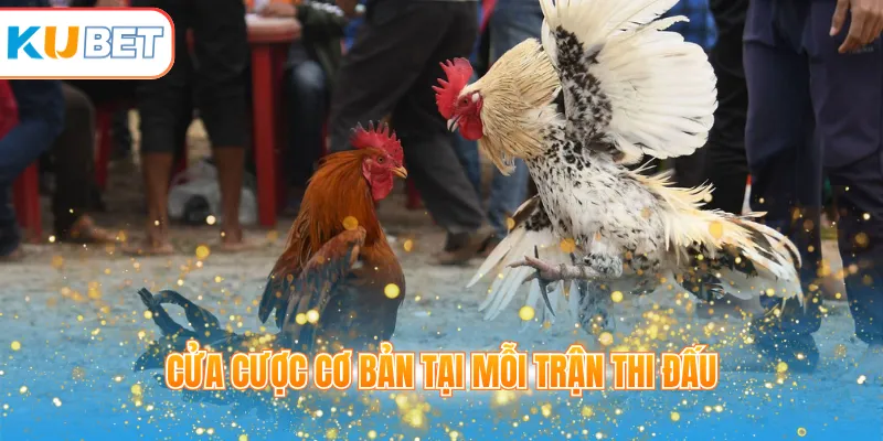Cửa cược cơ bản tại mỗi trận thi đấu