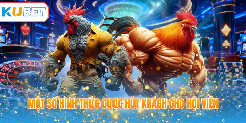 Một số hình thức cược hút khách cho hội viên