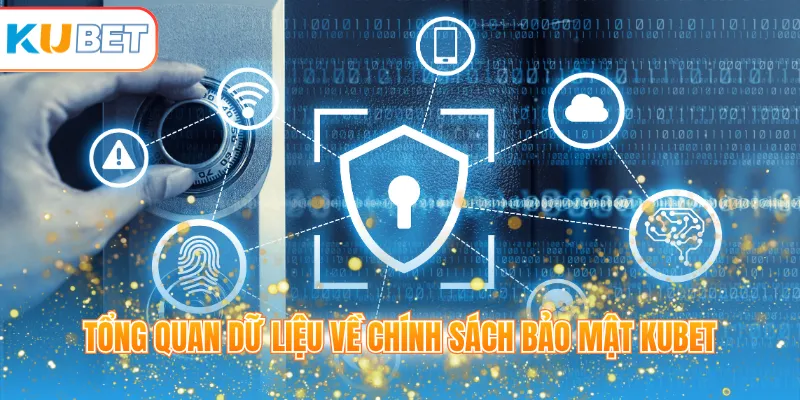 Tổng quan dữ liệu về chính sách bảo mật KUBET